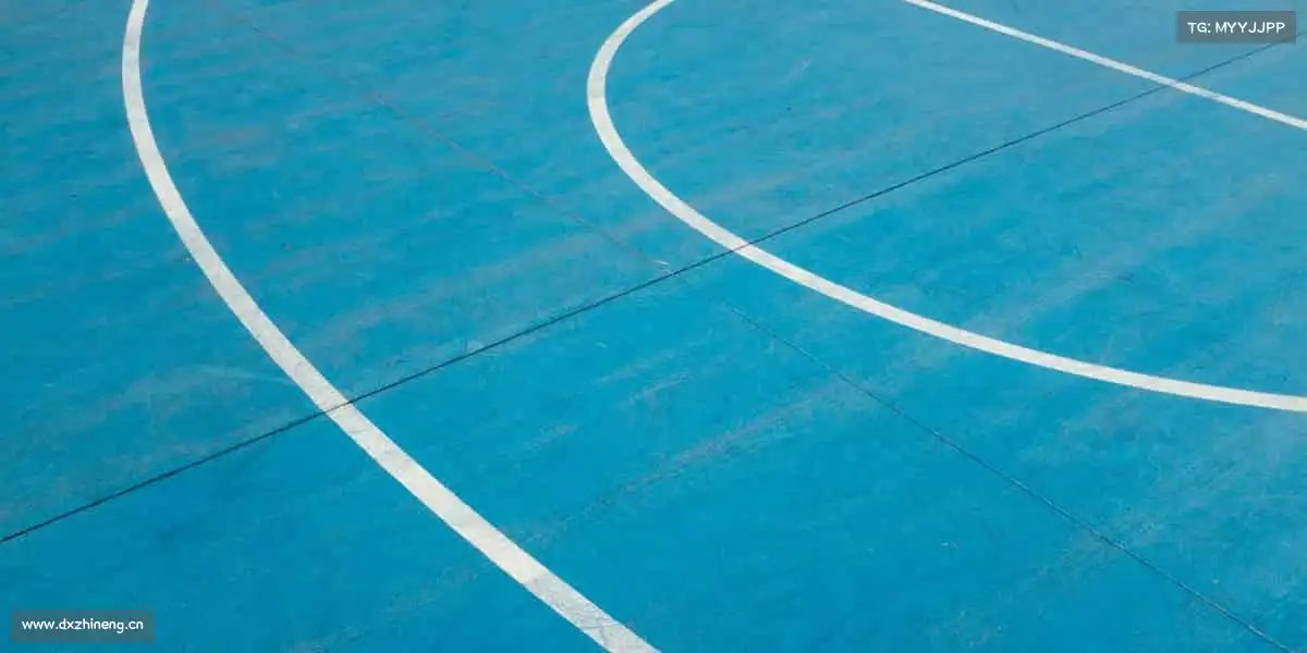 zoty中欧🏀跳跃、奔跑、冲刺 —— 每一次拼搏,都是对自己的致敬!